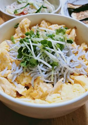 しら玉丼（しらすと卵のミニ丼）-レシピのメイン写真