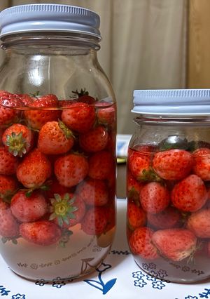 いちごの酵母（液種）-レシピのメイン写真