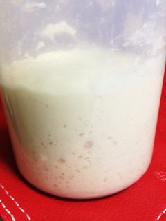 酒粕酵母〜元種-レシピのメイン写真