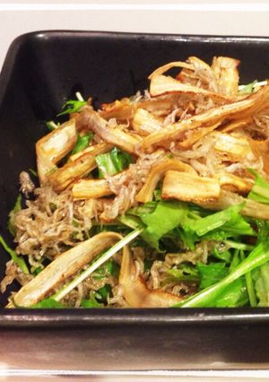 パリパリごぼうと水菜のサラダ-レシピのメイン写真