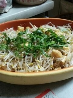 簡単節約♪もやしサラダ♪-レシピのメイン写真