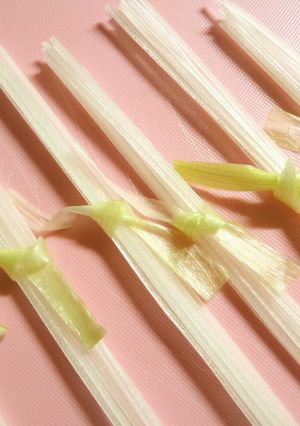 鍋物のマロニーは長葱で束ねて迷子なし！-レシピのメイン写真