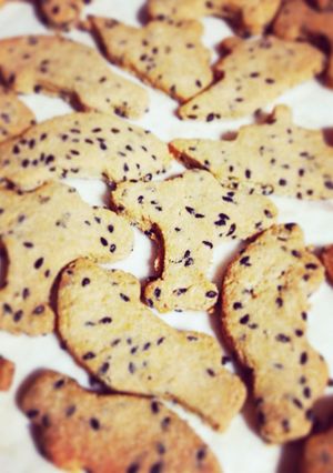 おからパウダー☆超簡単クッキー-レシピのメイン写真