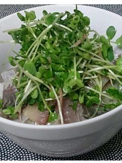 薬味たっぷり!超簡単 鯵どんぶり-レシピのメイン写真