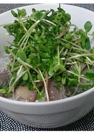 薬味たっぷり！超簡単 鯵どんぶり-レシピのメイン写真