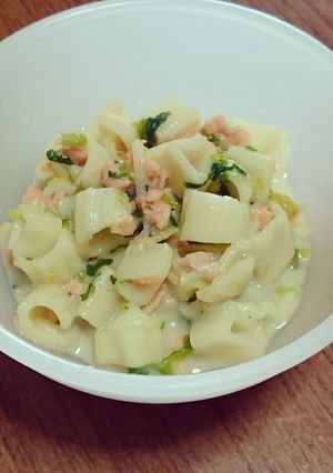 離乳食♪鮭とホウレン草のクリームマカロニ-レシピのメイン写真