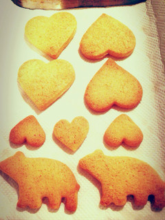 シンプル型抜きクッキー-レシピのメイン写真