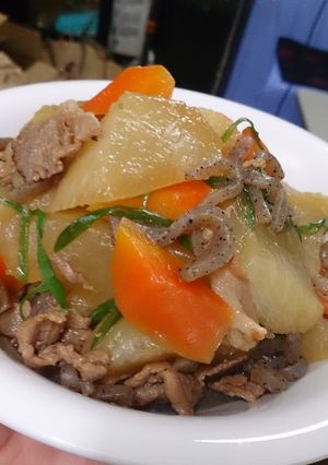 簡単☆時短☆そぎ大根と豚肉の煮物-レシピのメイン写真