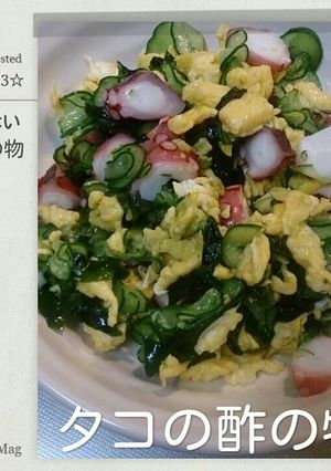 失敗しない酢の物の味付けはこれだけ!!-レシピのメイン写真