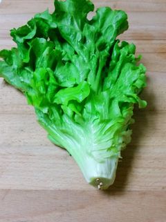 レタスの保存-レシピのメイン写真