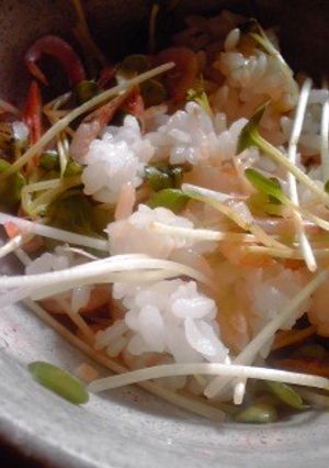 シンプル桜えび丼♪-レシピのメイン写真