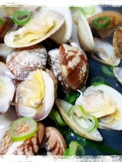 自己流あさりの酒蒸し-レシピのメイン写真