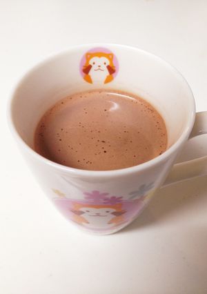 ダマにならない！美味しい☆ココアのいれ方-レシピのメイン写真