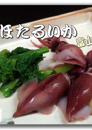 蛍烏賊（ほたるいか）の可食部！-レシピのメイン写真