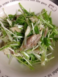 水菜と焼きサバのサラダ-レシピのメイン写真