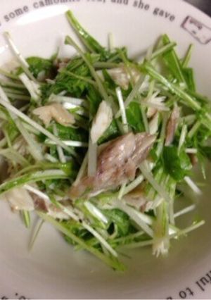 水菜と焼きサバのサラダ-レシピのメイン写真