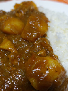 基本の食材だけ!無水鍋のトリカレー-レシピのメイン写真