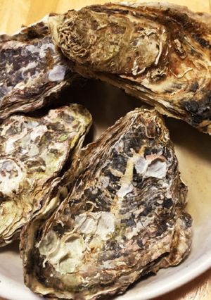 レンジで焼き牡蠣-レシピのメイン写真