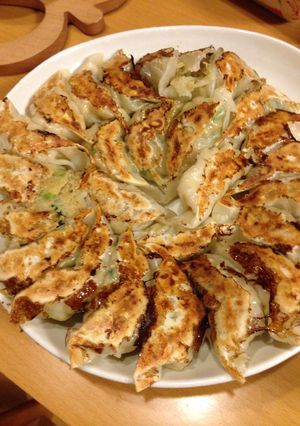 おからと白菜のヘルシー餃子-レシピのメイン写真