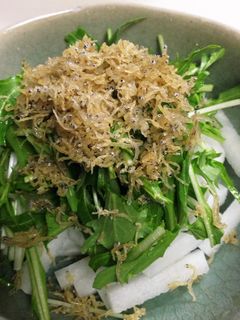 水菜と大根としらすのサラダ-レシピのメイン写真