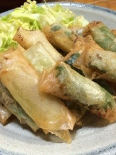 鶏そぼろ春巻き-レシピのメイン写真
