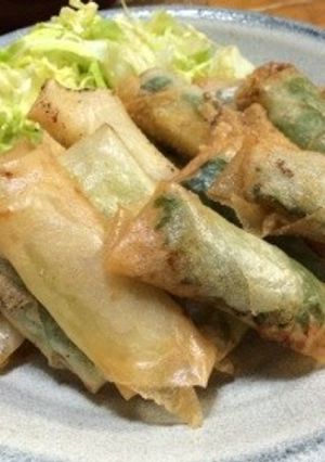 鶏そぼろ春巻き-レシピのメイン写真