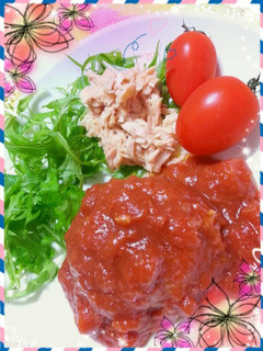 おから豆腐ハンバーグ☆トマト煮込み-レシピのメイン写真