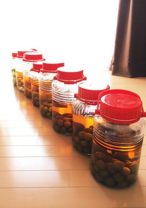 定番！【簡単】自家製梅酒-レシピのメイン写真