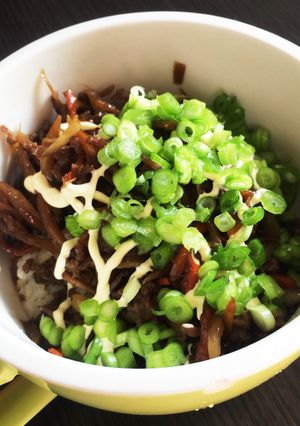 ガツンと男飯！合挽き肉できんぴらごぼう丼-レシピのメイン写真