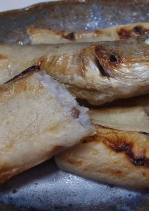 幻の深海魚「水べこ」の一夜干し-レシピのメイン写真