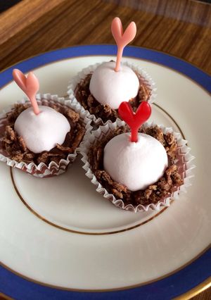 友チョコにも☆超簡単チョコボール-レシピのメイン写真