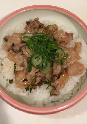 ブーブー(❛∞❛)ネギ塩豚丼ぶり-レシピのメイン写真