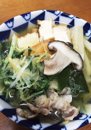 プチッと鍋で生姜たっぷりのみぞれ鍋-レシピのメイン写真