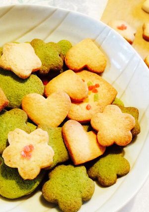 サクサク！抹茶＆プレーンクッキー-レシピのメイン写真