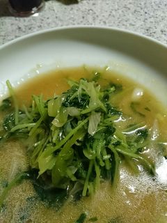 相性バッチリ❗豆苗とネギのオイ胡麻炒め-レシピのメイン写真