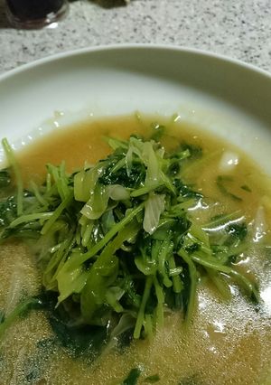 相性バッチリ❗豆苗とネギのオイ胡麻炒め-レシピのメイン写真