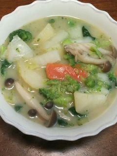 具だくさん豆乳スープ-レシピのメイン写真
