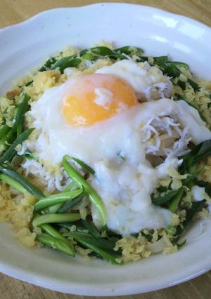 ねぎとシラスと天かすのうどん-レシピのメイン写真