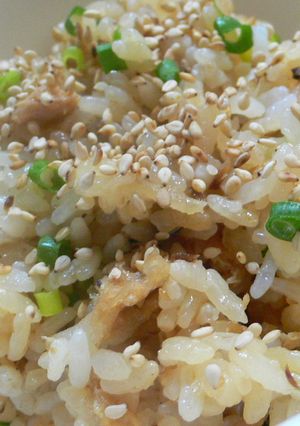 ☆煮魚DE混ぜごはん☆-レシピのメイン写真