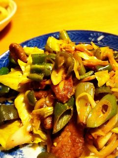 甘めの回鍋肉♪-レシピのメイン写真