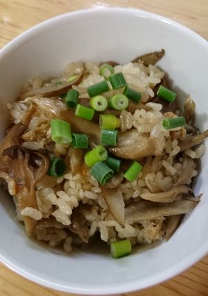 ゴボウ＆舞茸＆油揚げ炊き込みご飯-レシピのメイン写真