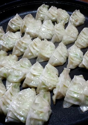 ヘルシー餃子-レシピのメイン写真