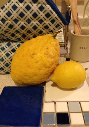 シチリア産チェドロ(cedro)のサラダ-レシピのメイン写真