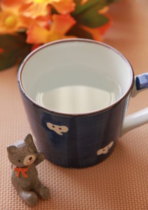 毎朝きちんと飲むお白湯-レシピのメイン写真