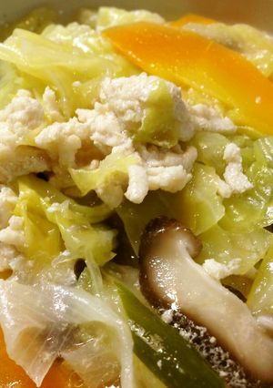 ✾鶏ひき肉とたっぷり野菜のおかずスープ-レシピのメイン写真
