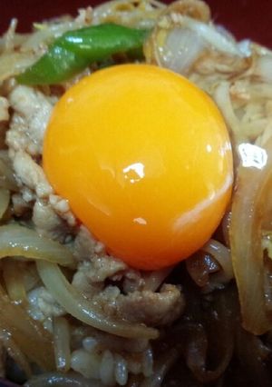 豚肉の焼き肉のたれ丼-レシピのメイン写真