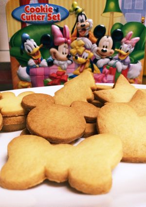 簡単☆さっくり♪♪素朴なクッキー-レシピのメイン写真