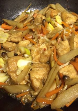 胸肉でヘルシー☆鶏ごぼう煮-レシピのメイン写真