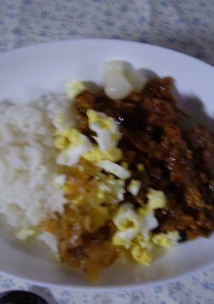 茄子のドライカレー-レシピのメイン写真