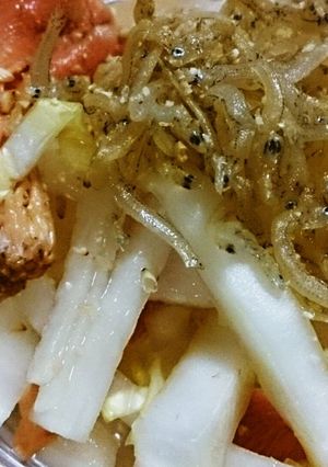 白菜と大根ととき色ひら茸のヘルシーサラダ-レシピのメイン写真